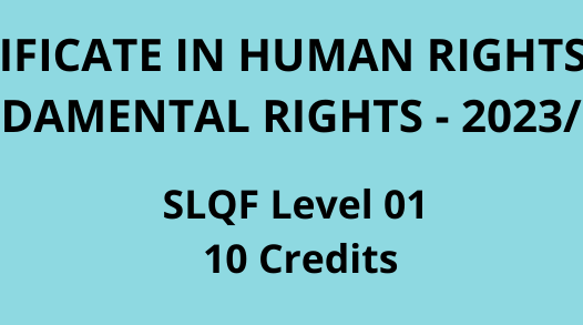 Certificate in Human Rights and Fundamental Rights