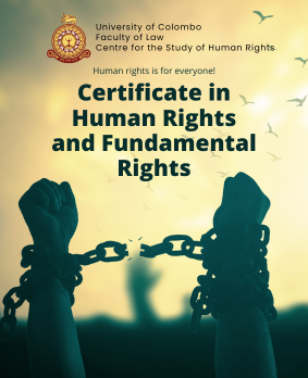 Certificate in Human Rights and Fundamental Rights