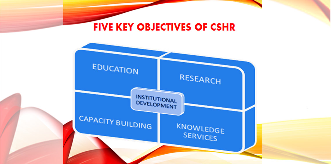 centre for human rights thesis